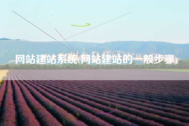网站建站系统(网站建站的一般步骤)