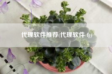 代理软件推荐(代理软件 fg)