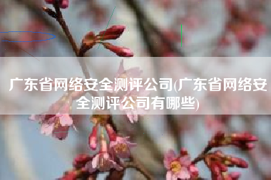 广东省网络安全测评公司(广东省网络安全测评公司有哪些)