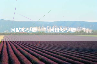 网站多少钱一个(网址多少钱一个)