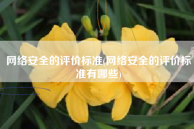 网络安全的评价标准(网络安全的评价标准有哪些)