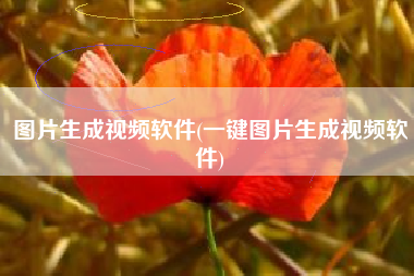 图片生成视频软件(一键图片生成视频软件)