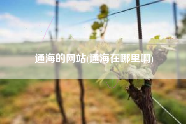通海的网站(通海在哪里啊)
