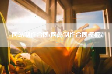网站制作合同(网站制作合同模板)