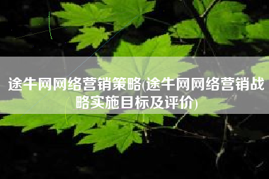 途牛网网络营销策略(途牛网网络营销战略实施目标及评价)