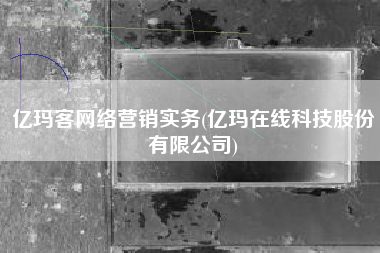 亿玛客网络营销实务(亿玛在线科技股份有限公司)