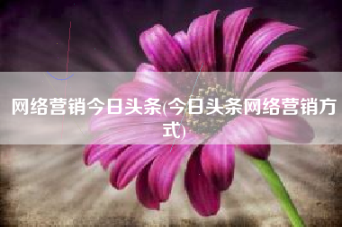 网络营销今日头条(今日头条网络营销方式)