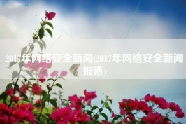 2017年网络安全新闻(2017年网络安全新闻报道)