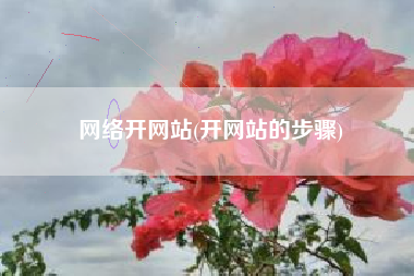 网络开网站(开网站的步骤)