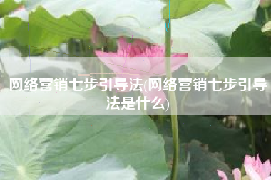 网络营销七步引导法(网络营销七步引导法是什么)