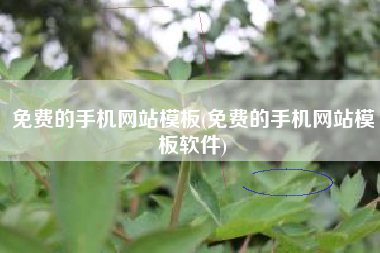 免费的手机网站模板(免费的手机网站模板软件)