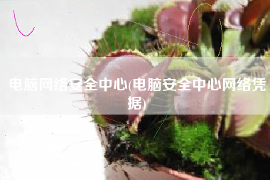 电脑网络安全中心(电脑安全中心网络凭据)