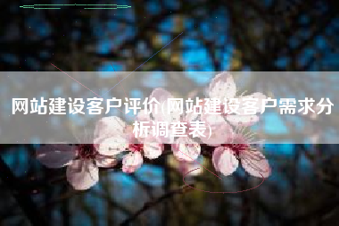 网站建设客户评价(网站建设客户需求分析调查表)