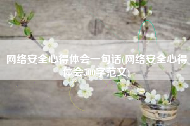 网络安全心得体会一句话(网络安全心得体会500字范文)
