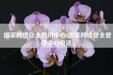 国家网络安全四川中心(国家网络安全管理中心电话)