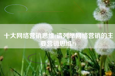十大网络营销思维(请列举网络营销的主要营销思维?)