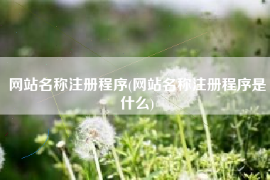 网站名称注册程序(网站名称注册程序是什么)