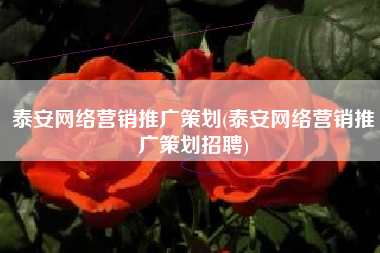 泰安网络营销推广策划(泰安网络营销推广策划招聘)