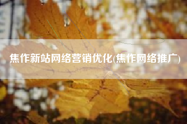 焦作新站网络营销优化(焦作网络推广)