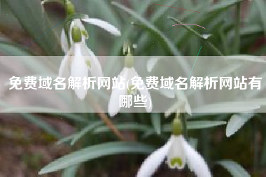 免费域名解析网站(免费域名解析网站有哪些)