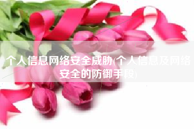 个人信息网络安全威胁(个人信息及网络安全的防御手段)