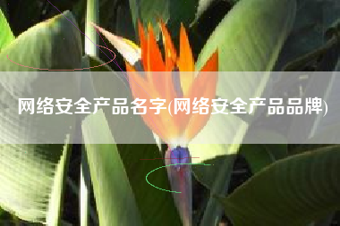 网络安全产品名字(网络安全产品品牌)