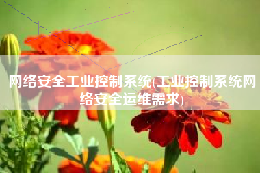 网络安全工业控制系统(工业控制系统网络安全运维需求)