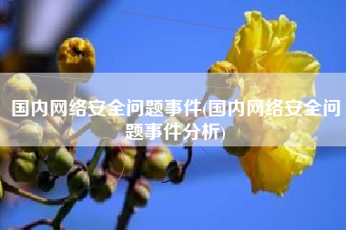 国内网络安全问题事件(国内网络安全问题事件分析)
