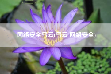 网络安全乌云(乌云 网络安全)