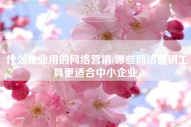 什么企业用的网络营销(哪些网络营销工具更适合中小企业)