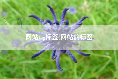 网站tag标签(网站的标签)