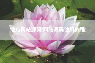 地方网站源码(网站源码使用教程)
