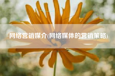 网络营销媒介(网络媒体的营销策略)