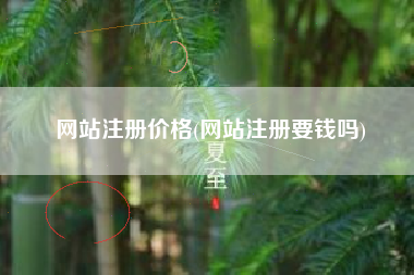 网站注册价格(网站注册要钱吗)