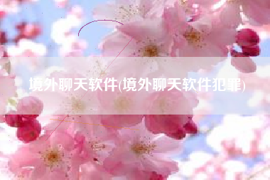 境外聊天软件(境外聊天软件犯罪)