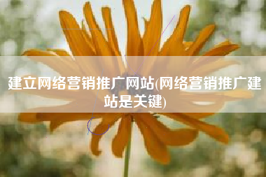 建立网络营销推广网站(网络营销推广建站是关键)