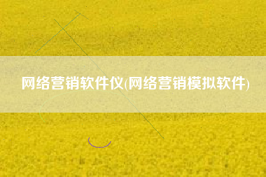 网络营销软件仪(网络营销模拟软件)