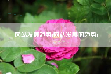 网站发展趋势(网站发展的趋势)
