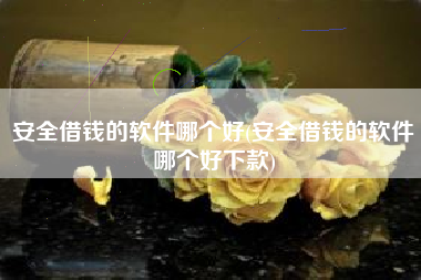 安全借钱的软件哪个好(安全借钱的软件哪个好下款)