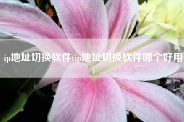 ip地址切换软件(ip地址切换软件哪个好用)