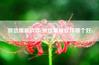 微信爆破软件(微信爆破软件哪个好)