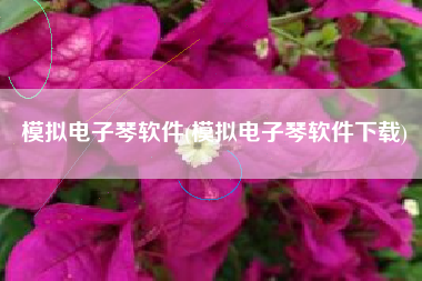 模拟电子琴软件(模拟电子琴软件下载)