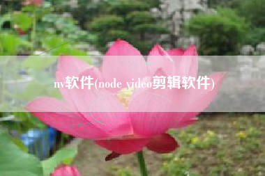 nv软件(node video剪辑软件)