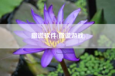 撒谎软件(撒谎游戏)