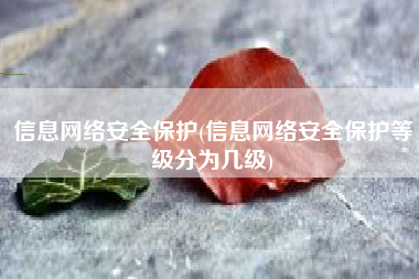 信息网络安全保护(信息网络安全保护等级分为几级)