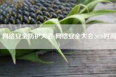 网络安全防护大会(网络安全大会2020时间)