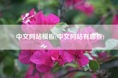 中文网站模板(中文网站有哪些)