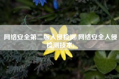 网络安全第二版入侵检测(网络安全入侵检测技术)