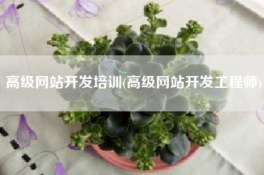 高级网站开发培训(高级网站开发工程师)