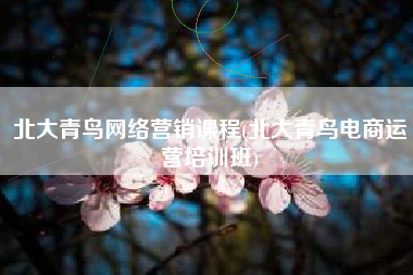北大青鸟网络营销课程(北大青鸟电商运营培训班)